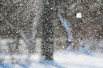 Snowfall Winter snow. Snow texture. Texture for design. Snowy white texture. Snowflakes.