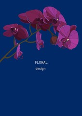 Orchid branch design invitation card. Nature realisitc vector illustration hand drawn.