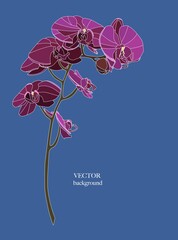 Orchid branch design invitation card. Nature realisitc vector illustration hand drawn.