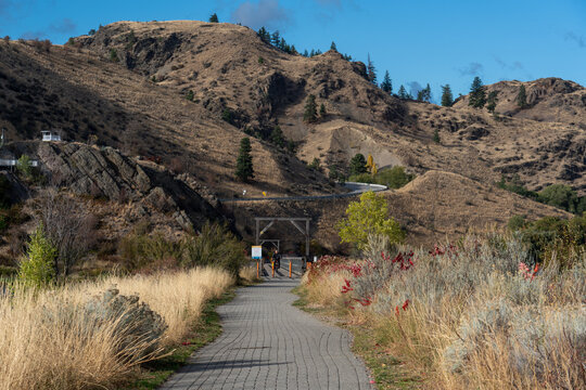 Beautiful autumn grass mountain path