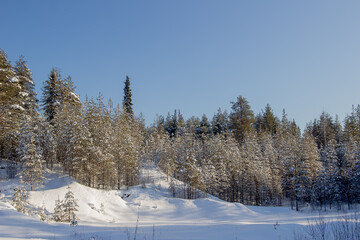 Nature Reserve of Russia, Arkhangelsk region Golubino.