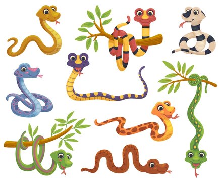 Set of cartoon color snake, funny reptile in various poses a vector illustrations