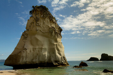 View of the Cathedral Cove in New Zealand - Coromandel