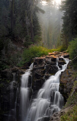 Waterfall in Forest, Kings Creek Lassen Volcanic National Park, Pacific North West with Pine Trees