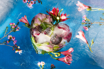 Obraz na płótnie Canvas Spring Awakening. Dreaming of Spring. Heart shaped ice cubes with flowers with flowers on blue frozen background. flat lay.