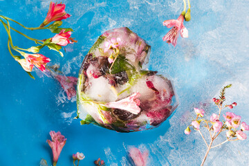  Spring Awakening.  Dreaming of Spring. Heart shaped ice cubes with flowers  with flowers  on blue frozen background. flat lay.