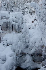 Nature Reserve of Russia, Arkhangelsk region Golubino.
