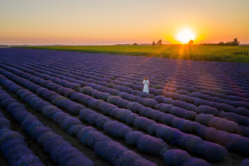 Fototapeta premium Aerial view of a woman in a white dress, among blooming lavender field at sunset