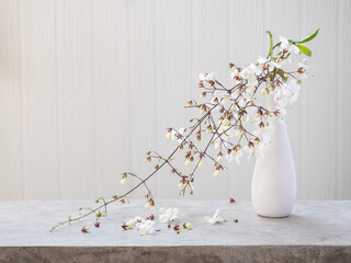 Beautiful Nodding Clerodendron flowers in modern vase set on concrete table with white wood background with copy space, soft tone still life