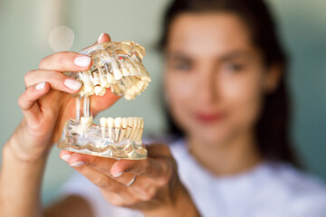 Pretty woman dentist with dental jaw in the dentist's office