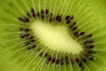 Sliced kiwi fruit bottom,