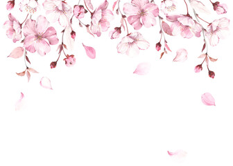 Flowers, buds and fall petals sakura on white background. Watercolor spring illustration with branches blossoming cherry, horizontal border, banner or frame for your text.