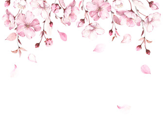 Flowers, buds and fall petals sakura on white background. Watercolor spring illustration with branches blossoming cherry, horizontal border, banner or frame for your text. © Nikole
