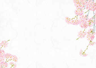 桜と和紙の背景テクスチャフレーム