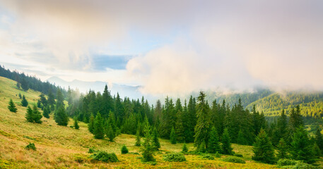 Bright Carpathian landscape in the morning light. After a thunderstorm. Rising fog.