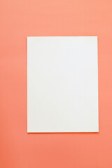 blank paper on coral colour background
