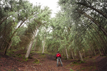 a man walking alone inside a forest in a cloudy day
