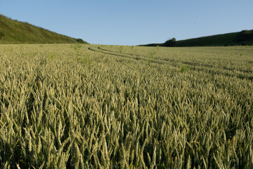 Prendre l'ai de campagne, Tréport
