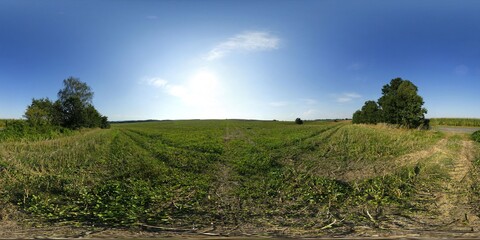 Fototapeta premium Countryside Meadow in the Summer HDRI Panorama
