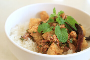 Rice and fried chicken in a white bowl