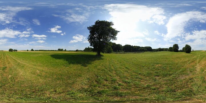 Lonely Tree on the Meadow HDRI Panorama