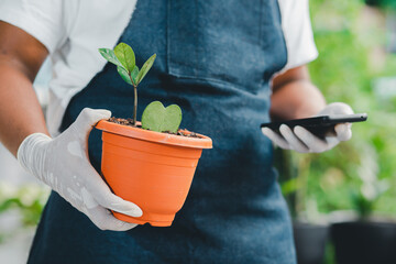 Planter with green heart potted plants on the holiday of the happy month. Concept of natural life, new way of life