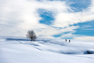 Two hikers and a bare tree in snowy winter landscape. Lessinia Plateau (Altopiano della Lessinia), Regional Natural Park, Verona Province, Veneto, Italy, Europe.