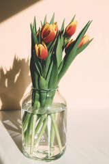 Close-up of a bouquet of spring red-yellow tulips in a glass vase on the table. Bright sunlight, harsh shadows. Vertical orientation. Gifts, floristry.