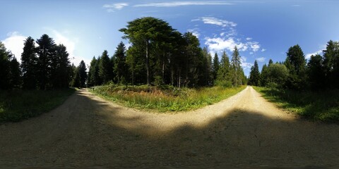 Gravel Road in the forest HDRI Panorama
