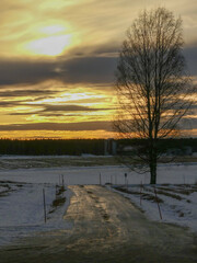 ice dirt road sun reflection with tree and boreal forest in the back