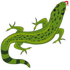 Vector illustration grovelling animal lizard type overhand