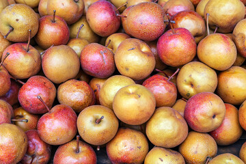 Apples background