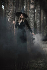 Fototapeta premium Witch at wood, fog around, magic concept, illustration for rituals and mystical scene