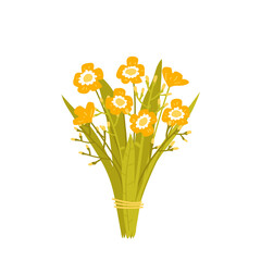Bouquet of wild yellow flowers. Floral decorative composition isolated on white background. Vector illustration in flat style.