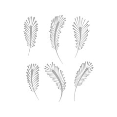 Bird feather silhouette vector design element set. Plum shape collection. Decorative plumage clipart isolated on white background