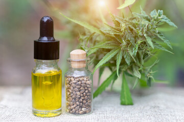 Glass bottle with CBD hemp oil and hemp seeds. The concept of herbal therapy extracted from hemp.