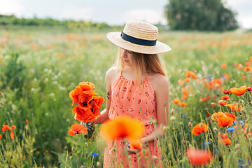 Ukrainian Beautiful girl in poppies field and wheat. outdoor portrait. Child collecting poppies and cornflower in summer field. Blooming Poppies memory symbol.