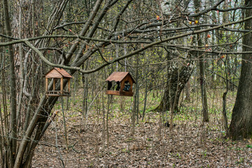 Bird feeder weighs on tree in spring