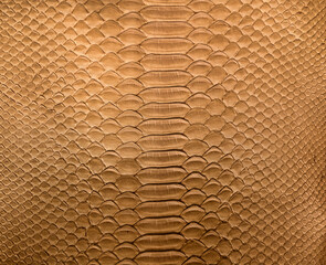 Brown snake skin background, close-up texture picture