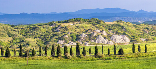 Road with cypresses in a row in a panoramic landscape