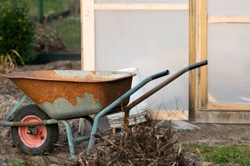 A rusty wheelbarrow stands near a greenhouse. How to store a wheelbarrow. Gardener's tips.