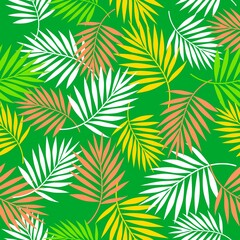 Naklejka na ściany i meble Tropical palm leaf illustration background