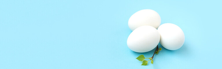 banner, unpainted white easter eggs with green leaves on a branch