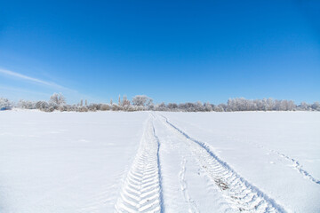 Fototapeta na wymiar Schnee bedecktes Feld mit einer Traktorspur im Schnee