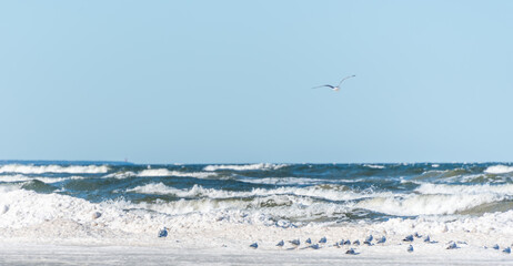 Baltic Sea Coast Beach in Winter