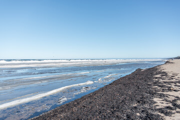 Baltic Sea Coast Beach in Winter