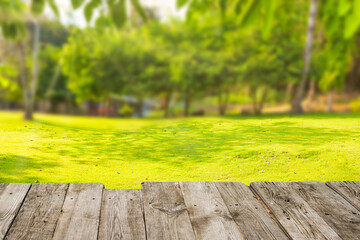 Spring summer landscape with green grass field lawn, trees at sunny day, view from wooden board