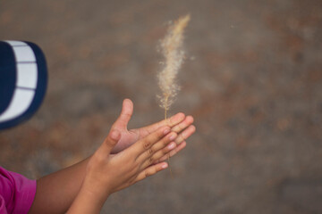 flower weeds on hand