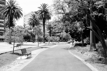 Melbourne park. Black and white Australia.