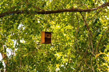 Wooden artificial nest in a park